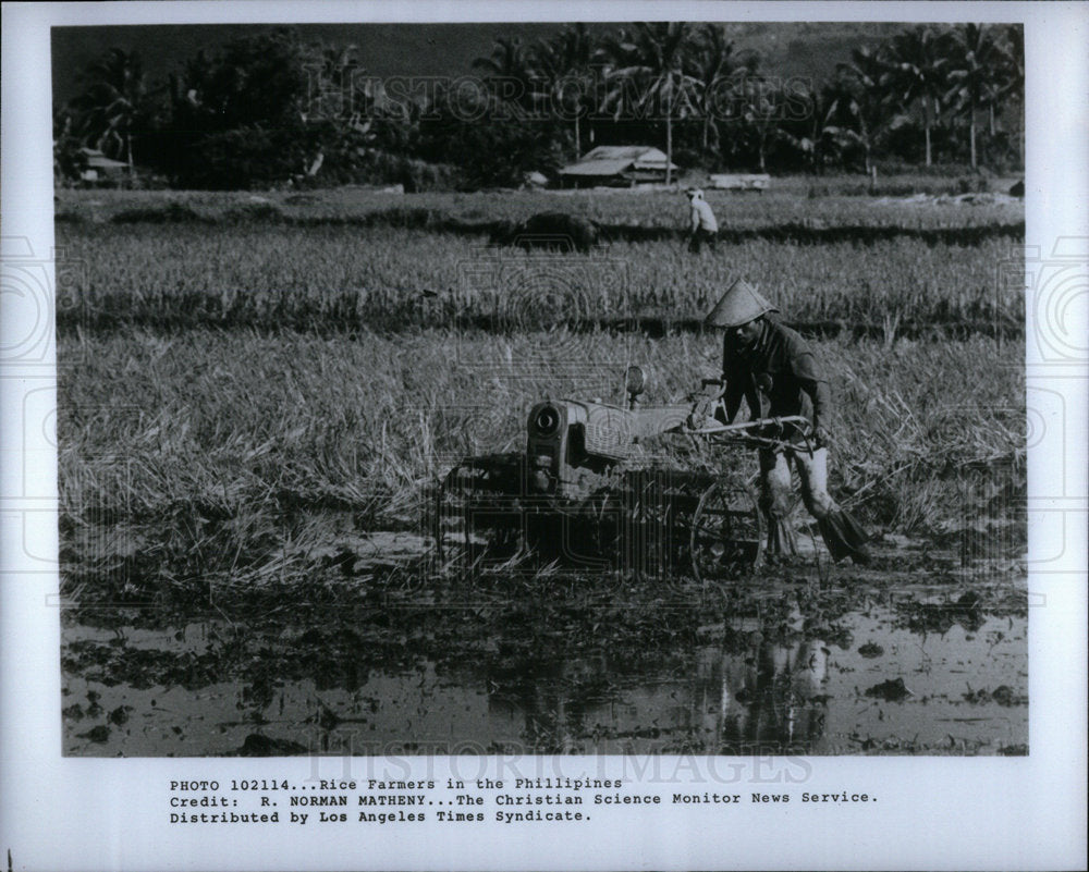 1982 Rice Farmers Phillipines - Historic Images