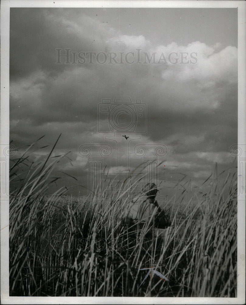 1961 Hunter shoots Duck Mitchells Lake Eire - Historic Images