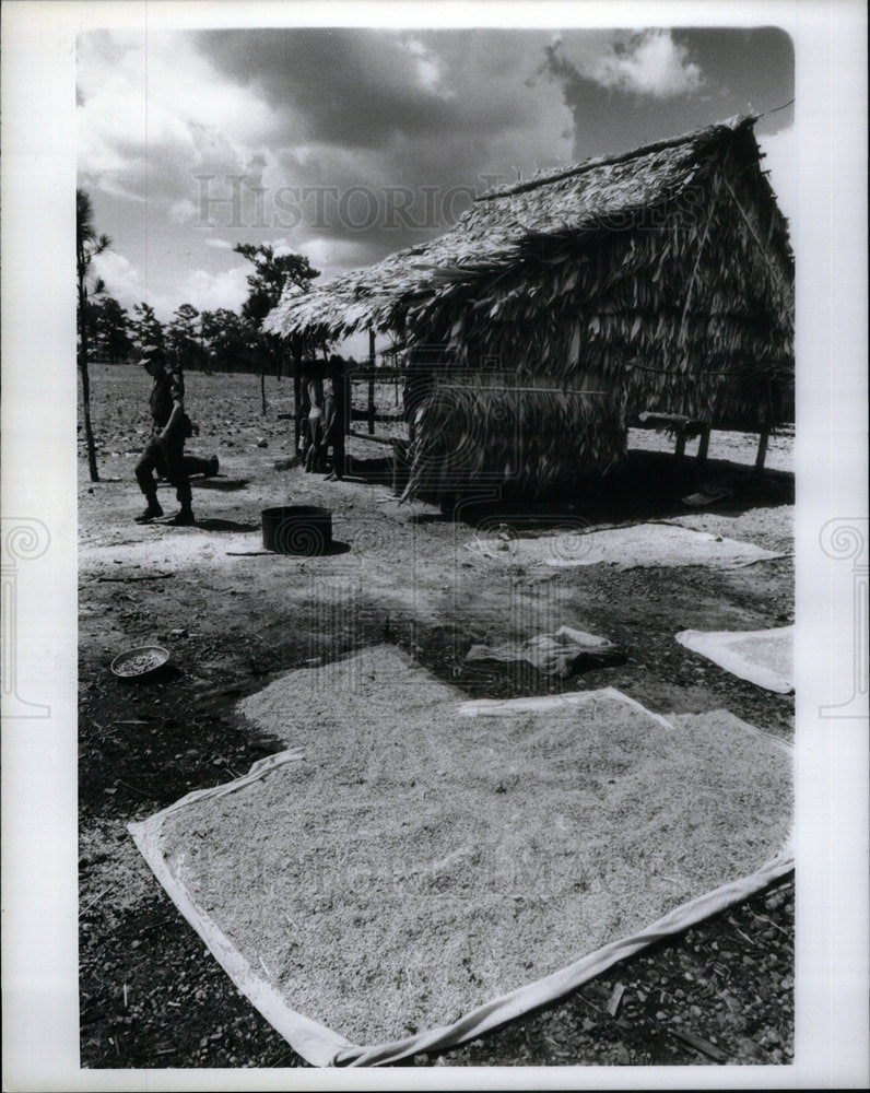 1984 Nicaragual - Historic Images