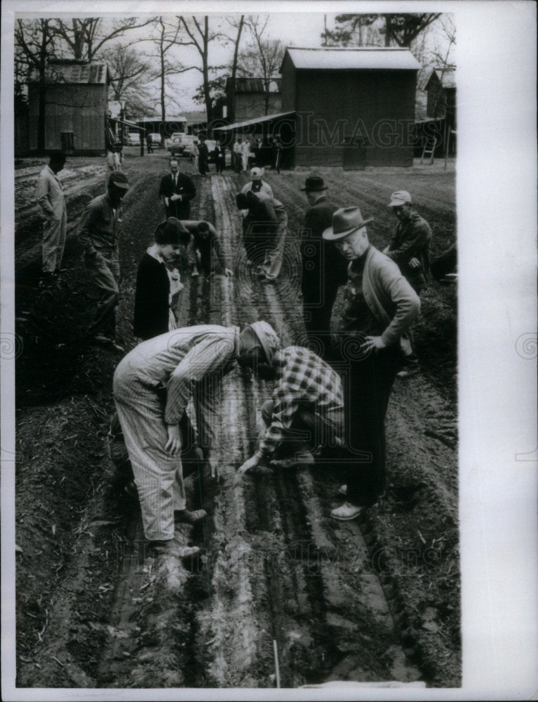 1965 Poverty N C - Historic Images