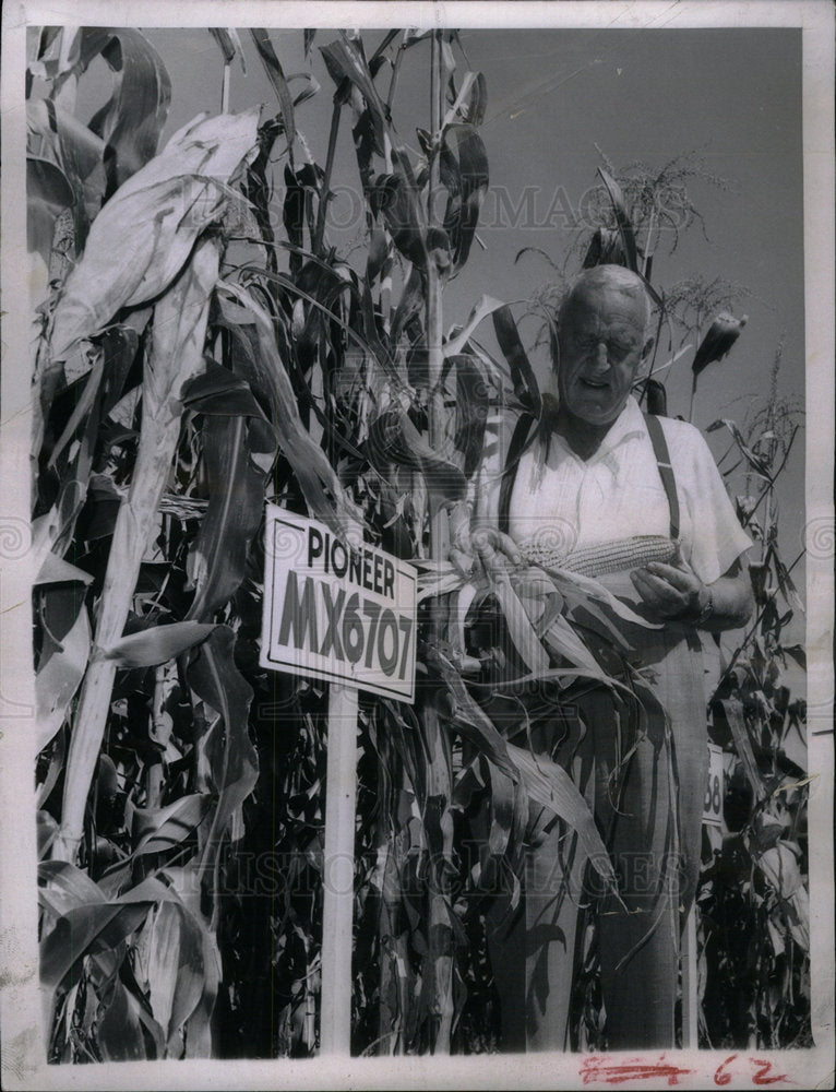 1959 Garst corn Iowa Khruschev experiment - Historic Images