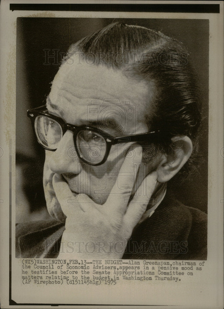 1975 Alan Greenspan Council Economics Mood - Historic Images