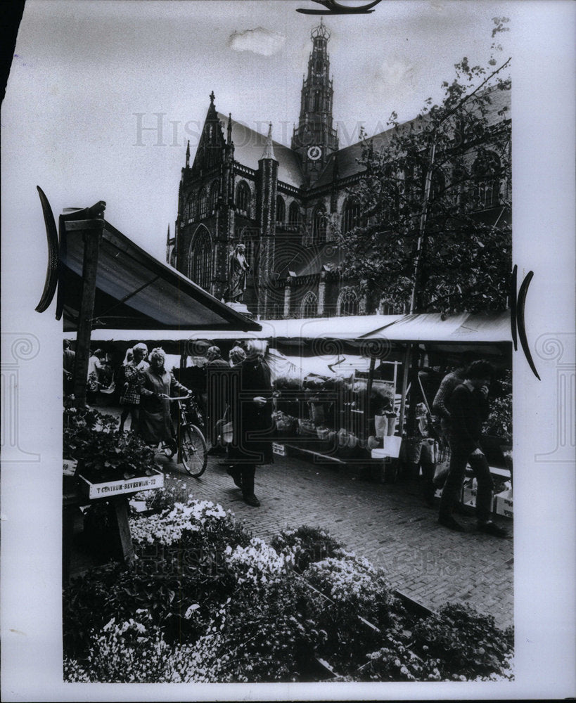 1976 Press Photo Array colorful fresh cut flower Harlem - Historic Images