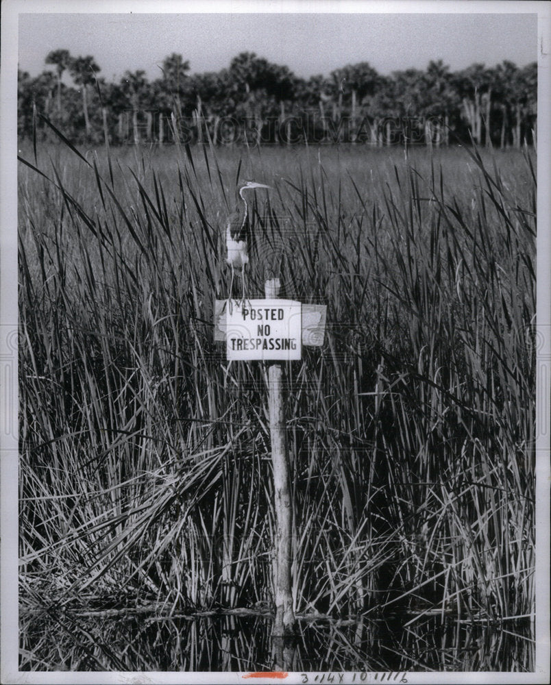 1965 Press Photo Tamiemi Trail South Florida Canal Area - Historic Images