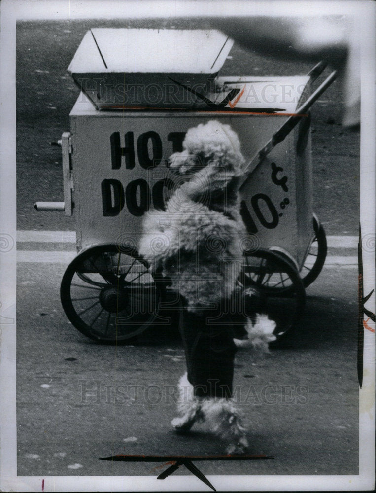 1964 Press Photo J.L. Hudson Christmas Parade Michigan - Historic Images