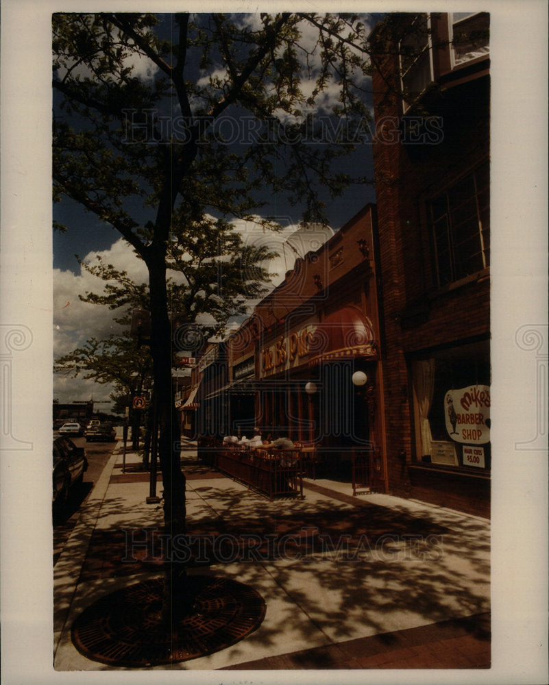 1984 Press Photo Mc Clillan Michigan Cities Royal Oak - Historic Images