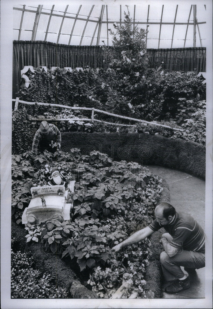 1972 Press Photo Poinsettia Belle Isle Bob Clark Henry - Historic Images