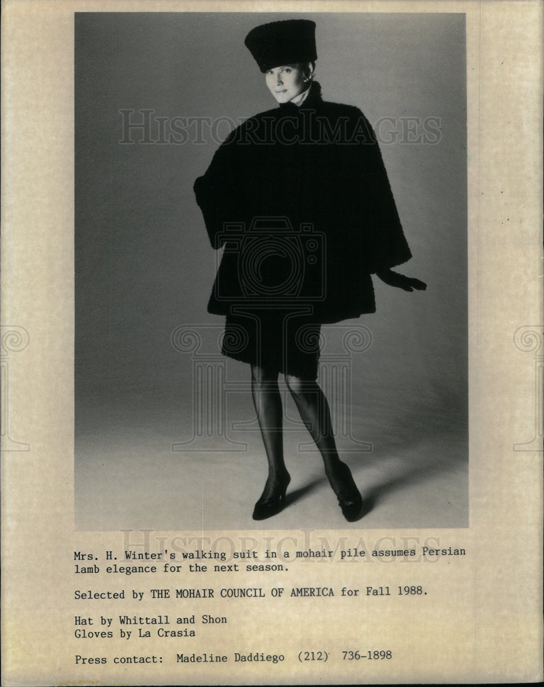 1988 Press Photo Persian Winter Suit Mohair - Historic Images