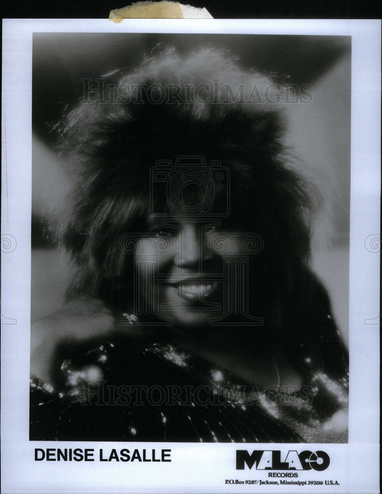 1991 Press Photo Denise LaSalle blues singer musician - Historic Images