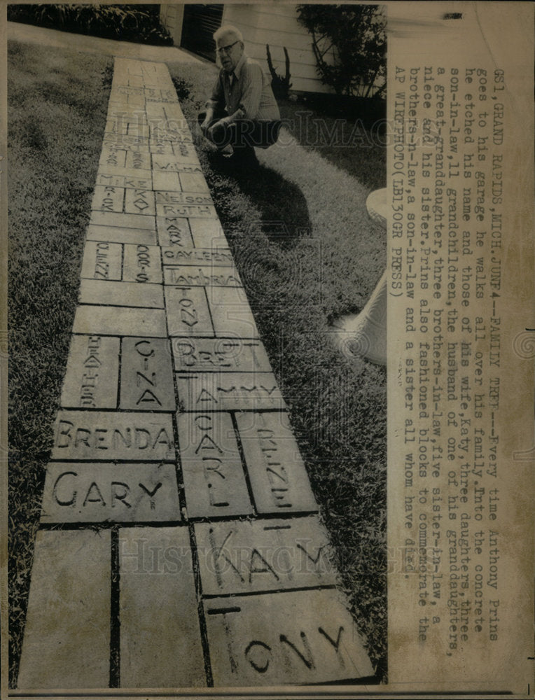 1975 Press Photo Anthony Prinns Family Tree Chicago - Historic Images