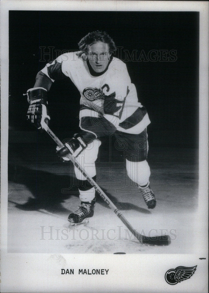 Press Photo Detroit Red Wings Dan Maloney - Historic Images