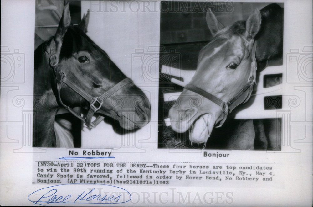 1963 Press Photo Race Horse No Robbery - Historic Images