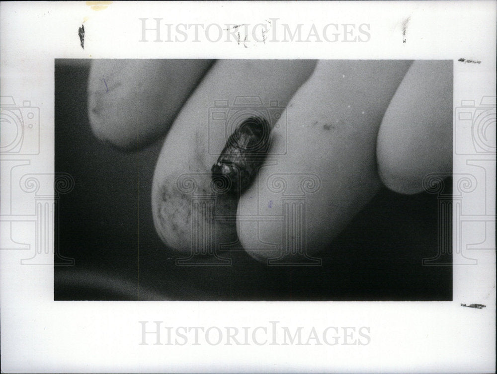 1992 Press Photo Bullets person hand picture show - Historic Images