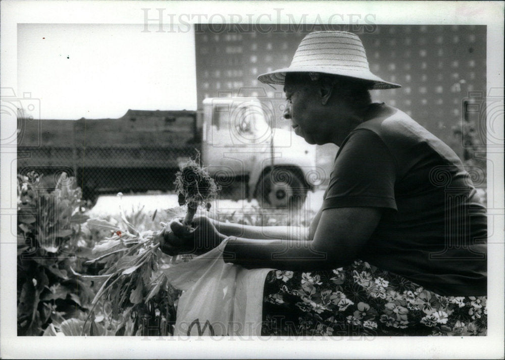 1992 Press Photo Arbun Gardening Fair Field Garbagers - Historic Images