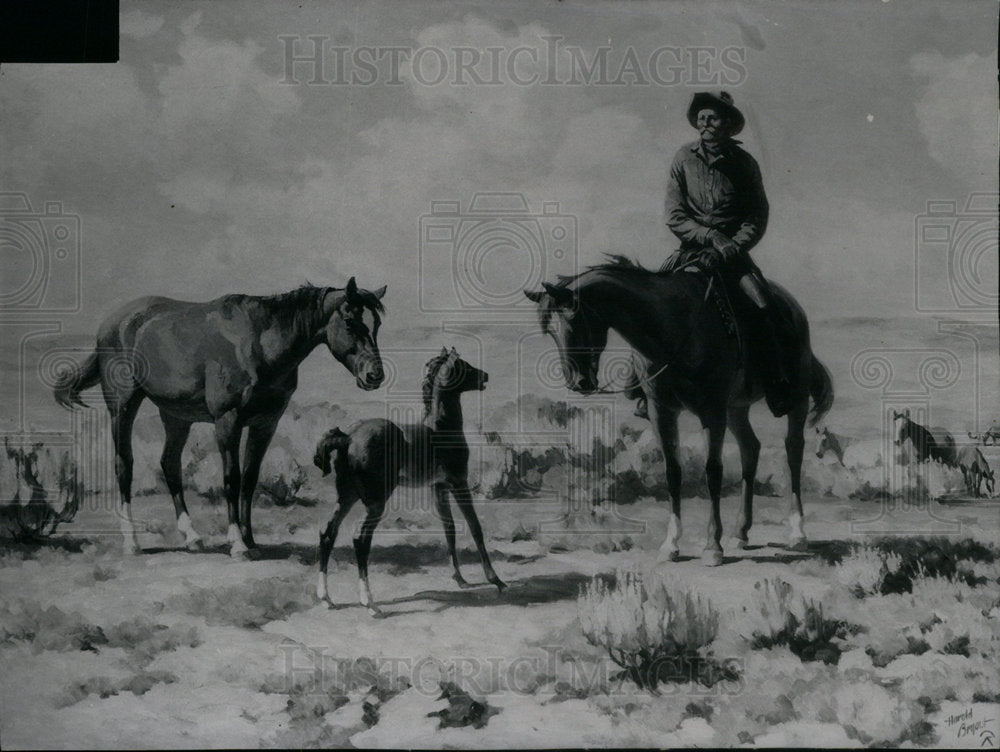 Press Photo Art Horse riding drawing paint challenge - Historic Images