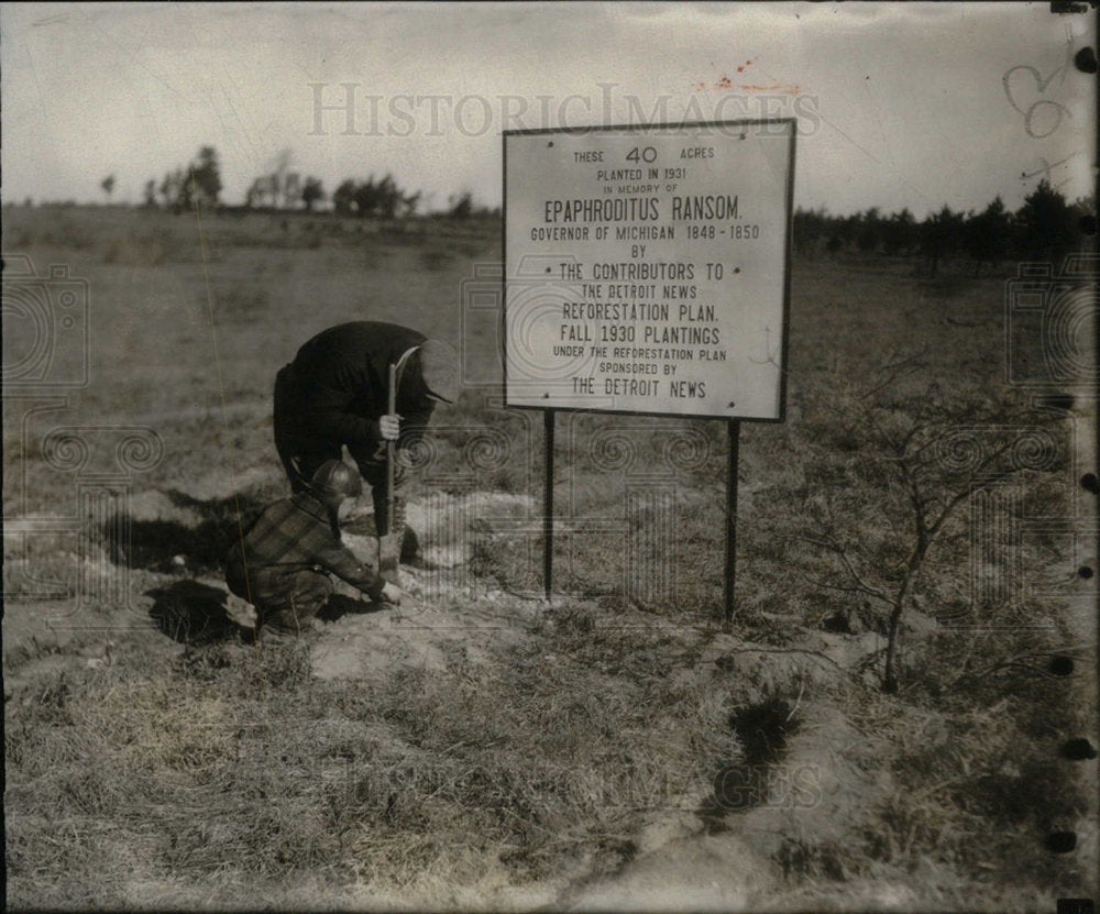 1931 Press Photo Higgins Lake Forest Reforestation - Historic Images