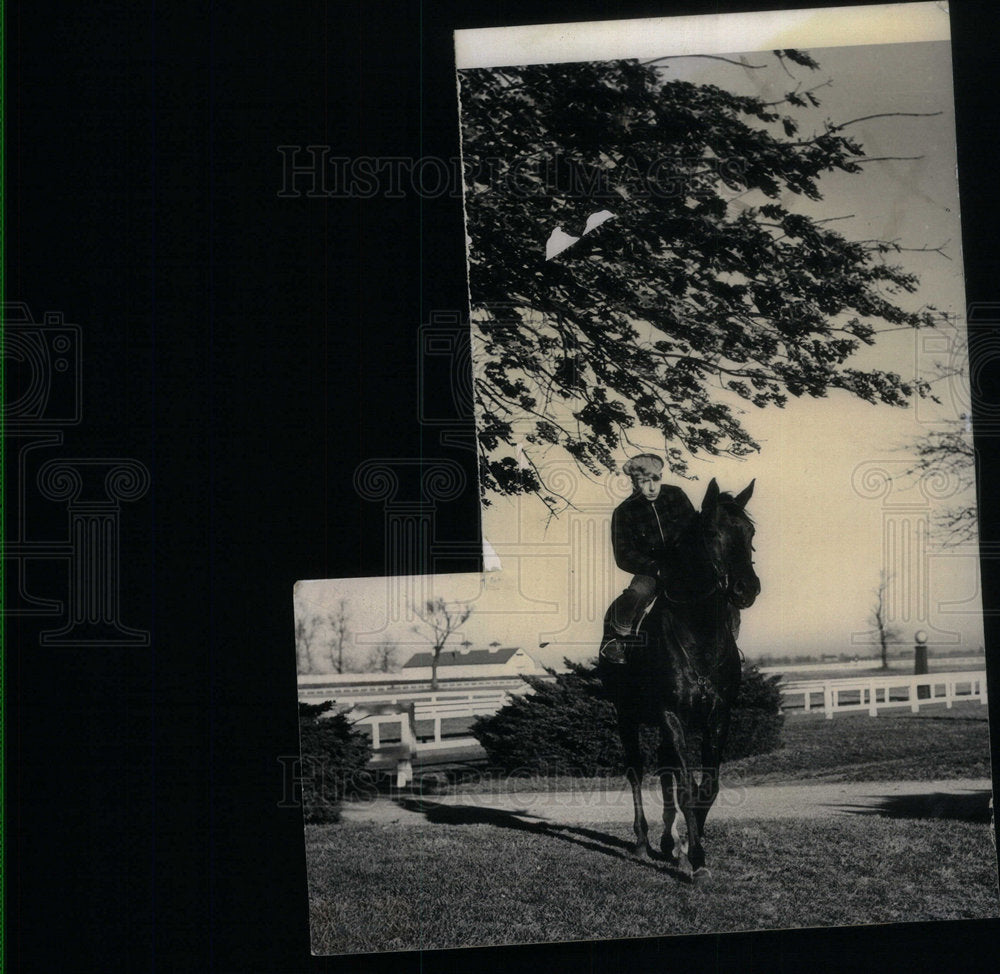 1958 Press Photo Calumet Kentucky Derby Stud Horse - Historic Images