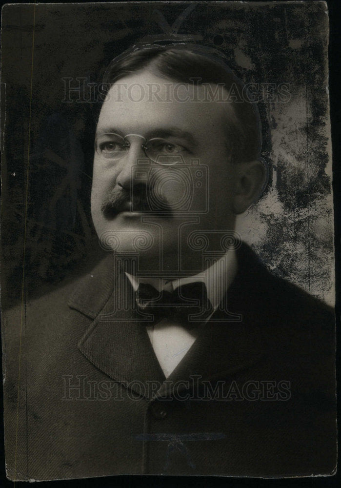 1920 Press Photo Senator Truman H Newberry - Historic Images