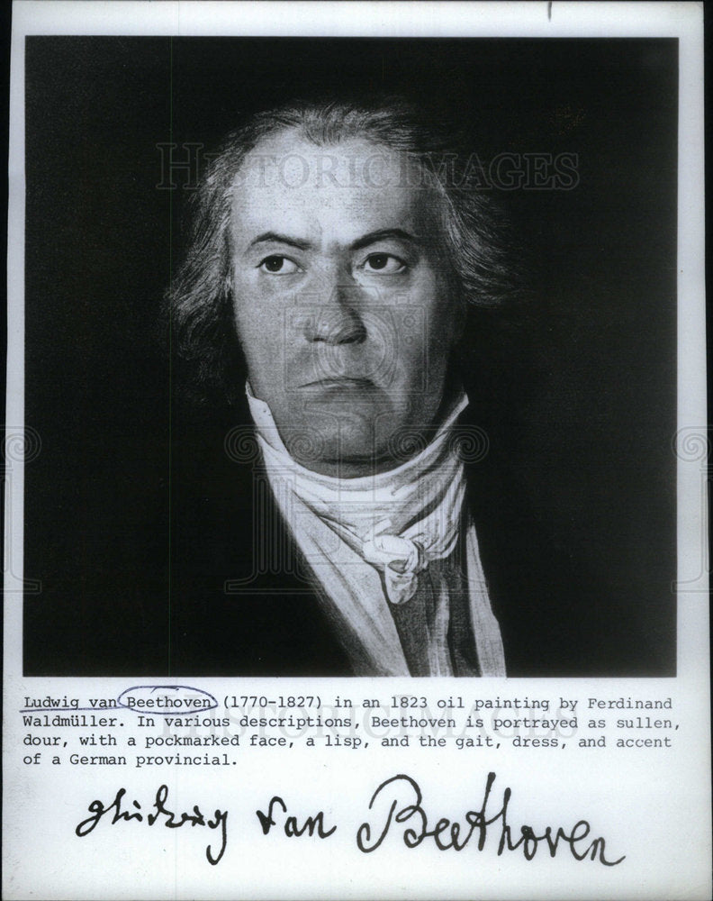 1986 Press Photo Ludwig Van Beethoven oil painting - Historic Images