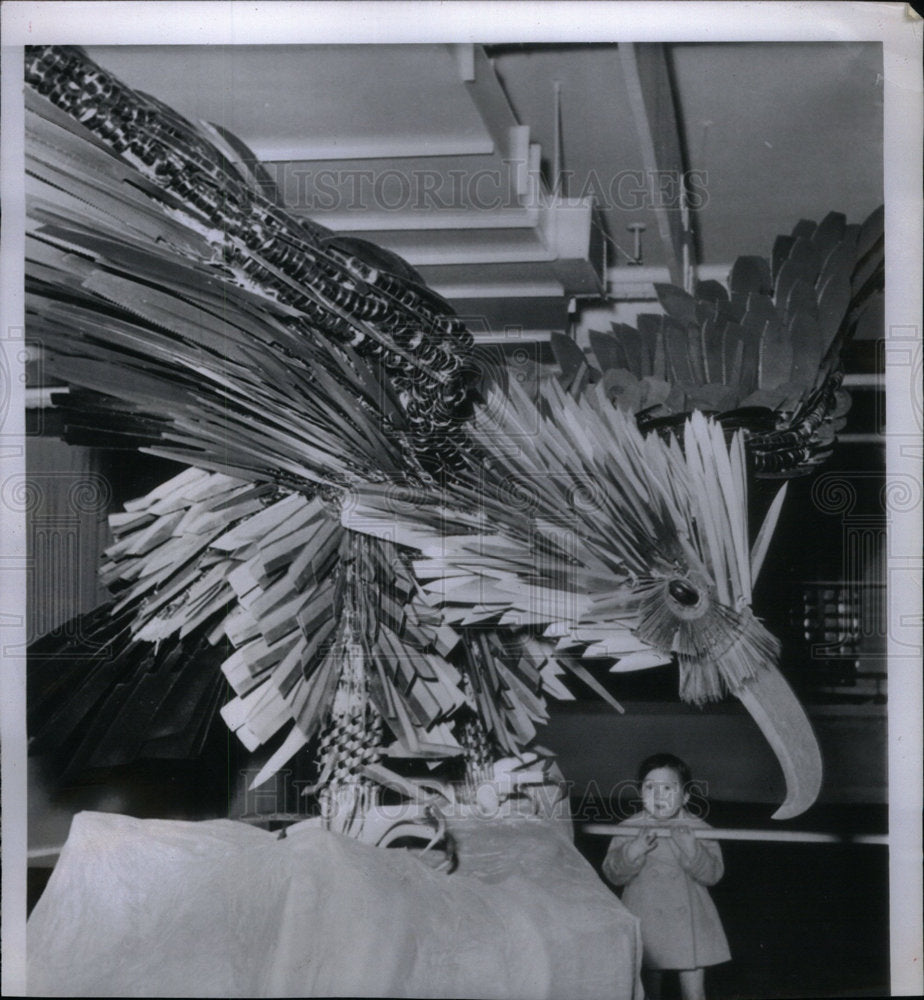 1960 Press Photo Japan Eagle - Historic Images