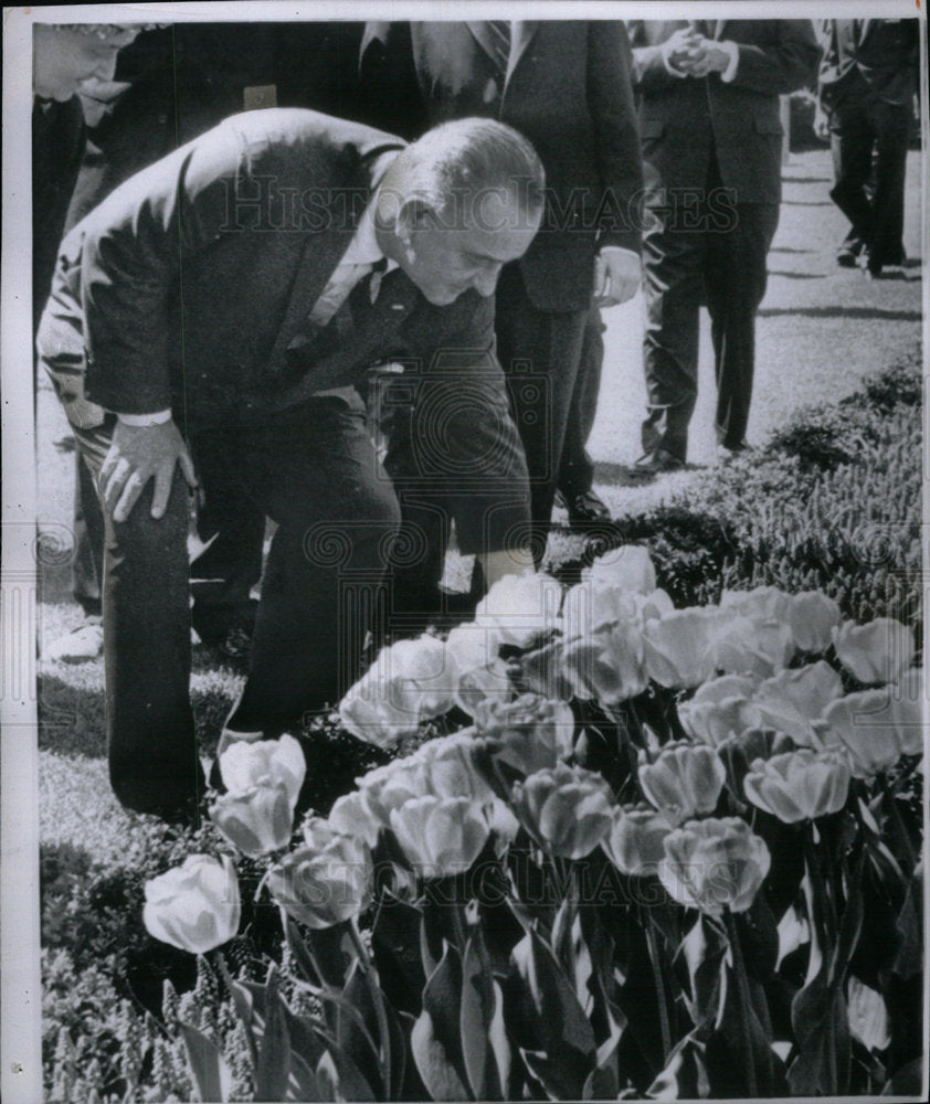 1964 Press Photo Lyndon Johnson Tulips - Historic Images