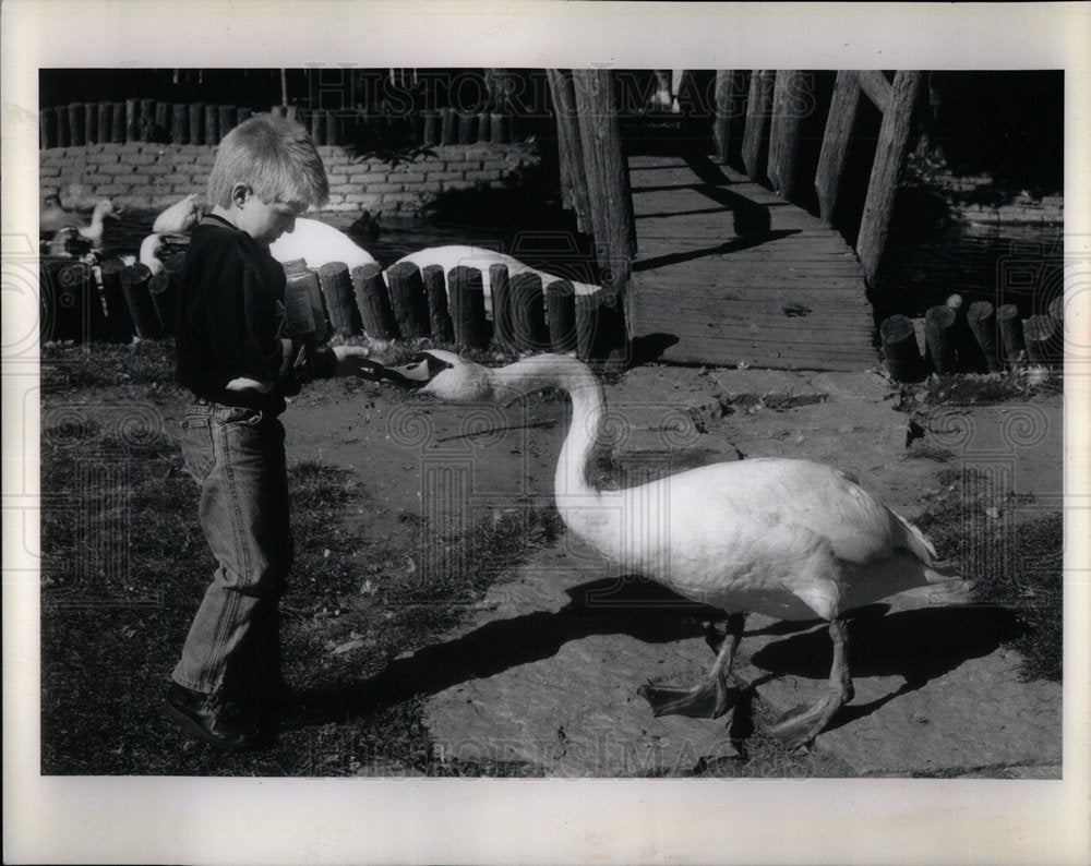 1989 Press Photo Cedar Park Cemetery Goose Gulps - Historic Images