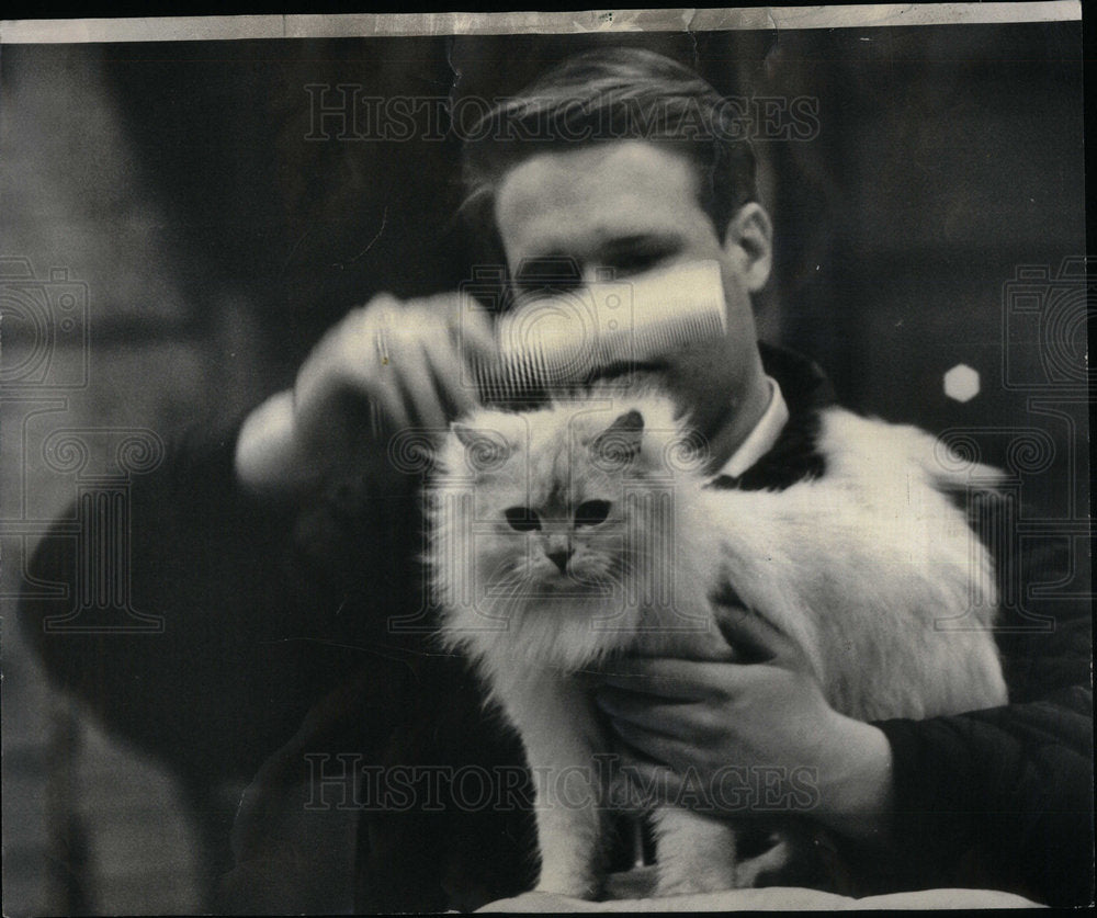 1966 Press Photo Cat Show My Lo Silverdoll - Historic Images