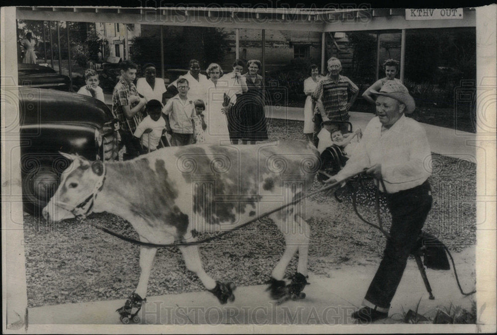1957 Press Photo Guernsey Cow Roller Skates - Historic Images