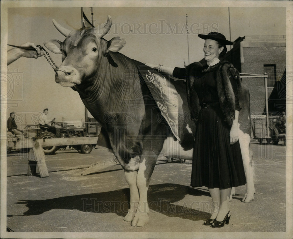 1955 Press Photo McDonald Farms Pre Rival Guerney bull - Historic Images