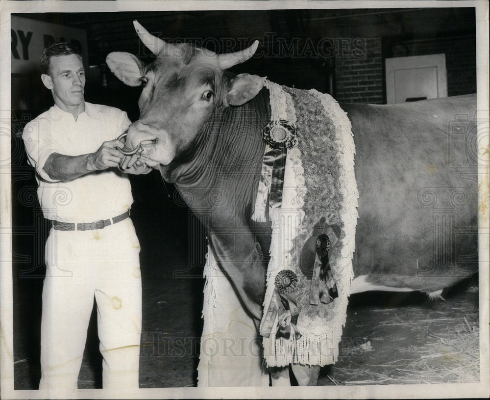 1953 Press Photo Foster with Grunsey Bull - Historic Images