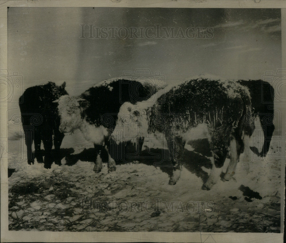 1952 Press Photo Weather Winter Fury Pierre Area - Historic Images