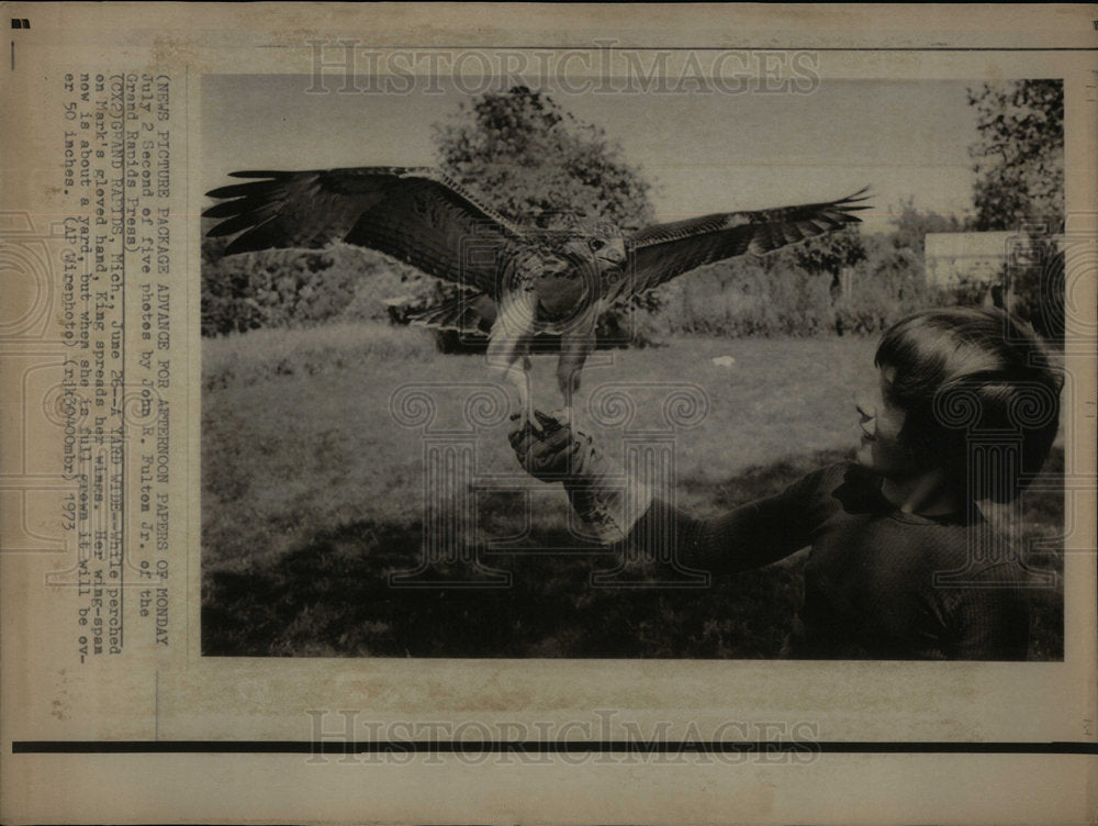 1973 Press Photo Hawk - Historic Images