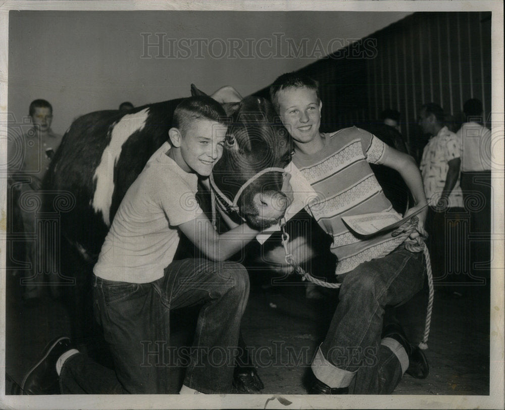 1957 Press Photo Chicago Boys Club Calf Feeding Event - Historic Images