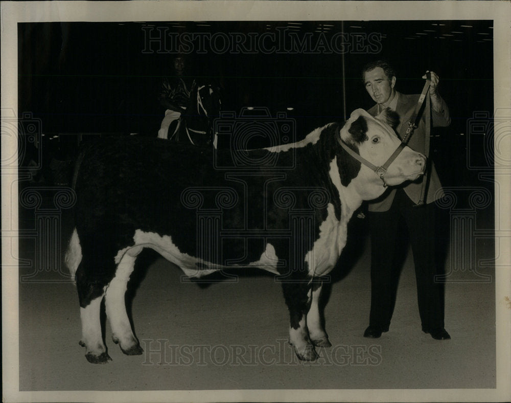 1973 Press Photo Cattle Beefs Livestock Show Chicago - Historic Images