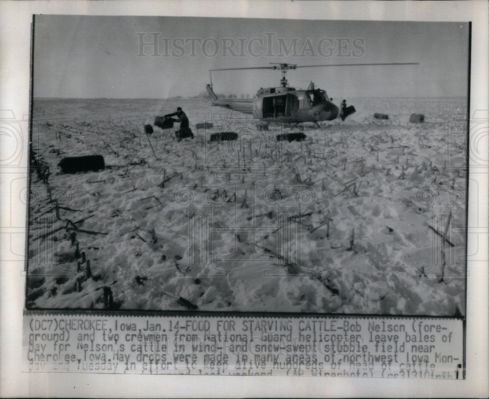 1975 Press Photo Bob Nelson National Guard Cattle Wind - Historic Images