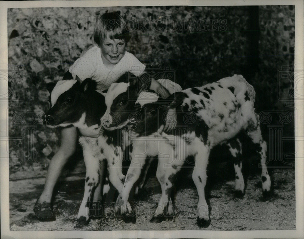 1956 Press Photo Penny Turner Ayrshire Triplet farm dog - Historic Images