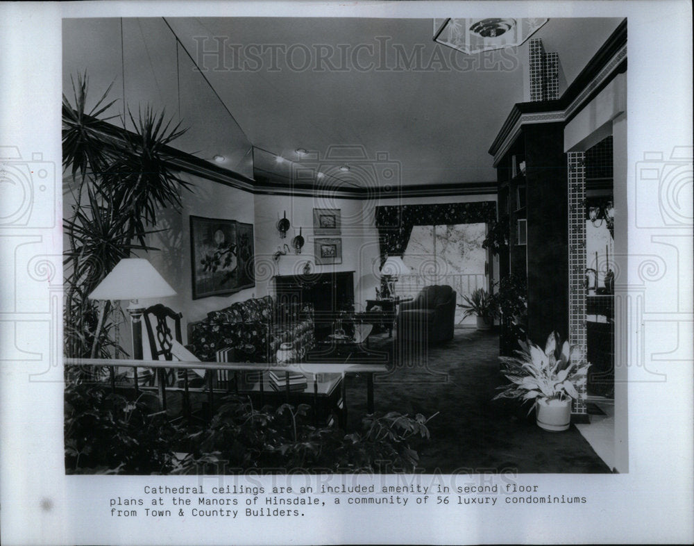 1984 Press Photo Cathedral Ceilings - Historic Images