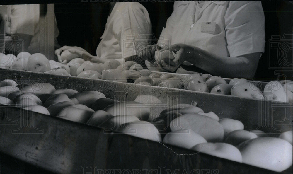 1950 Press Photo Potato Carving Inspection Production - Historic Images