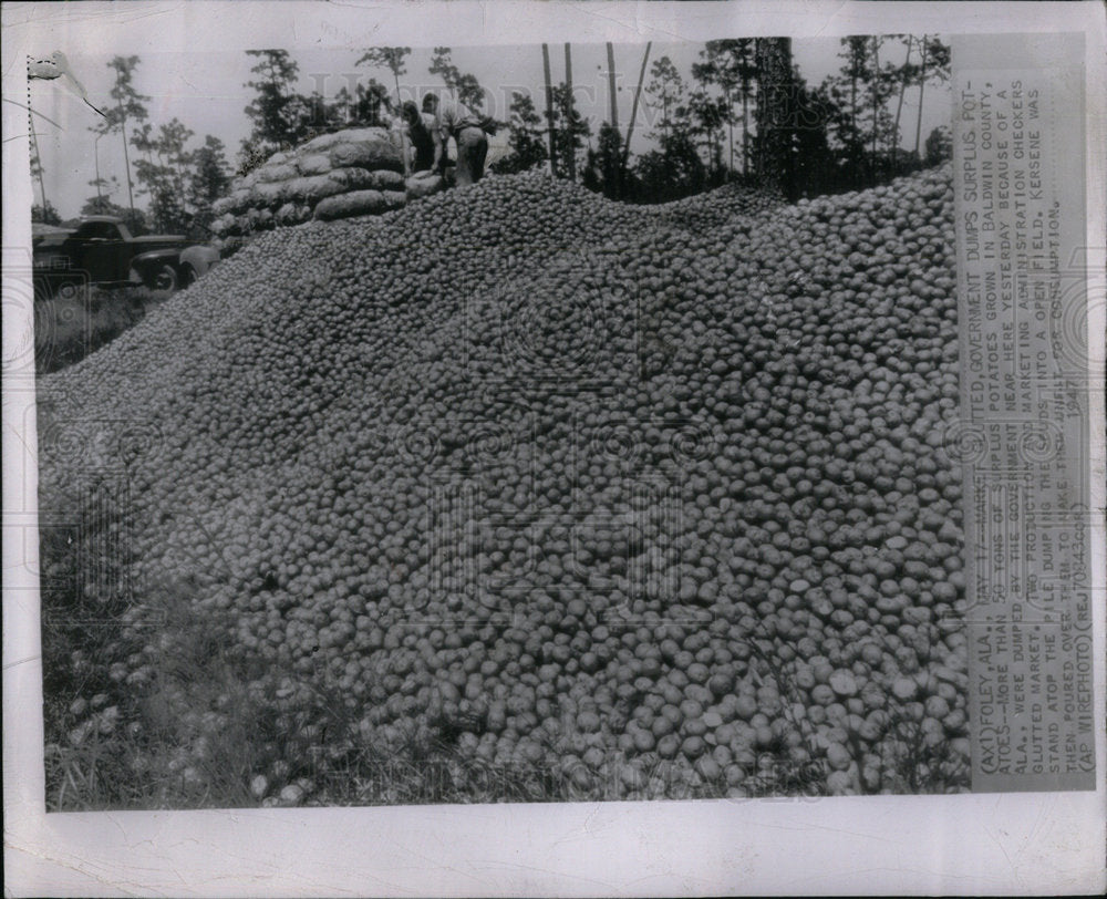 1947 Press Photo Potatoes - Historic Images