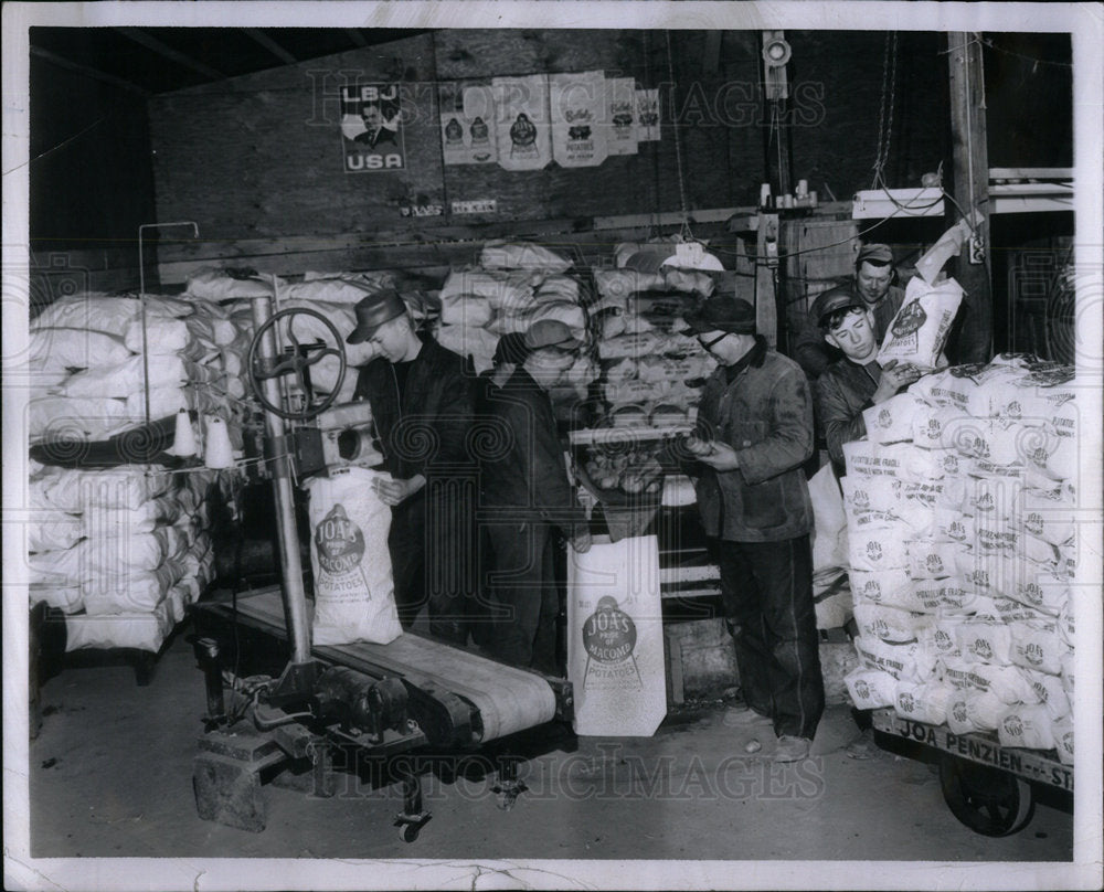 1966 Press Photo Potato Bagging - Historic Images