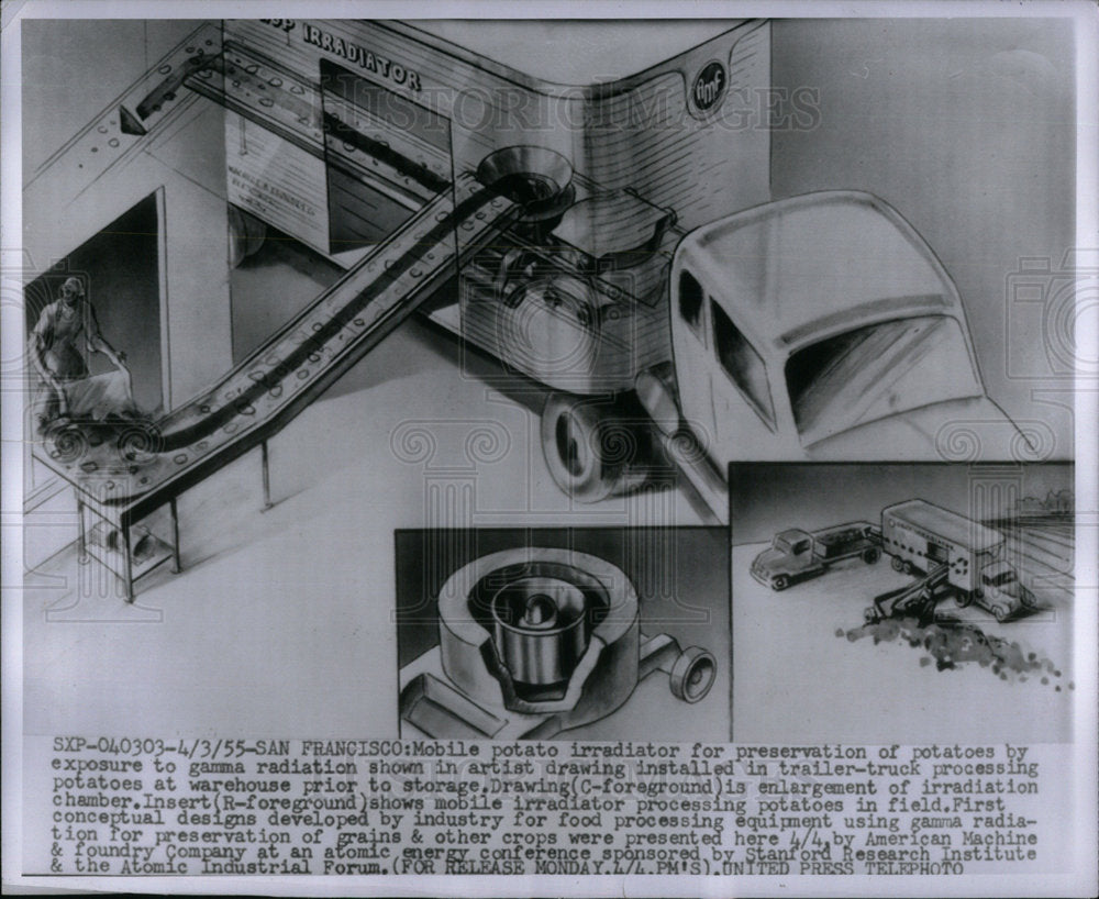 1955 Press Photo Drawing of Potato Irradiator - Historic Images