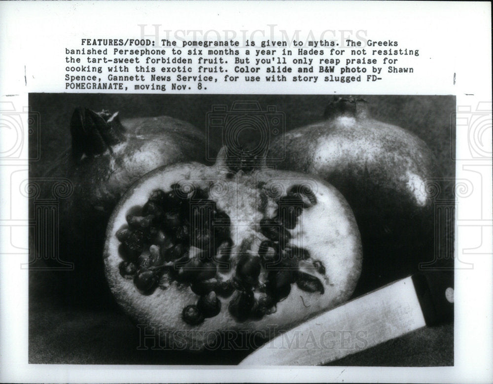 1991 Press Photo Pomegranate - Historic Images