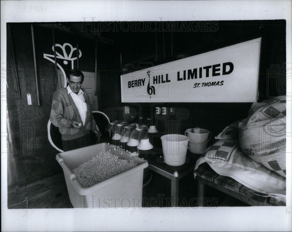 1990 Press Photo Popcorn - Historic Images