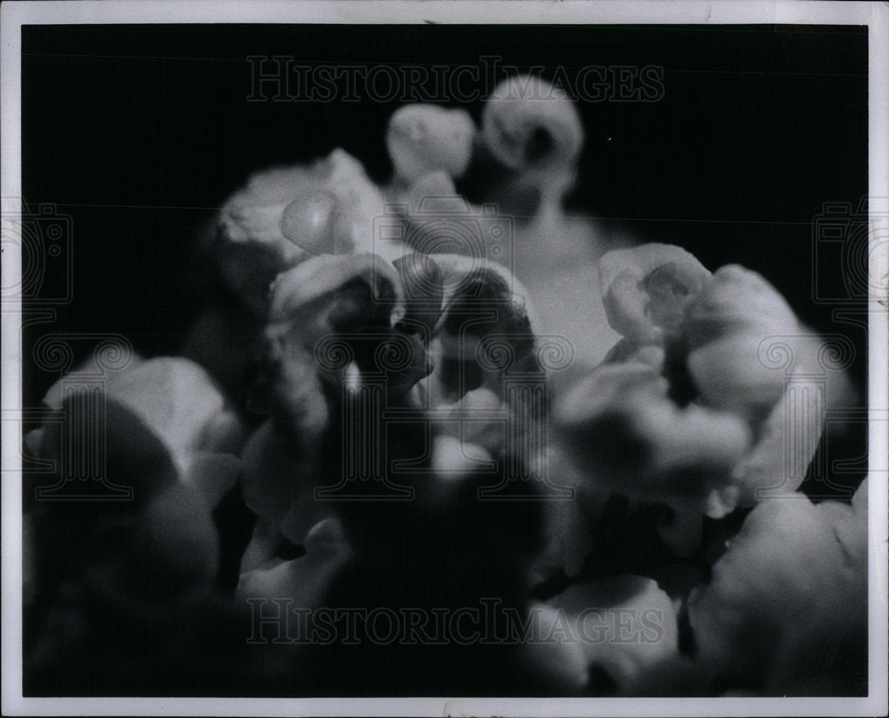 1969 Press Photo Flower bursting forth Glory Sunshine - Historic Images