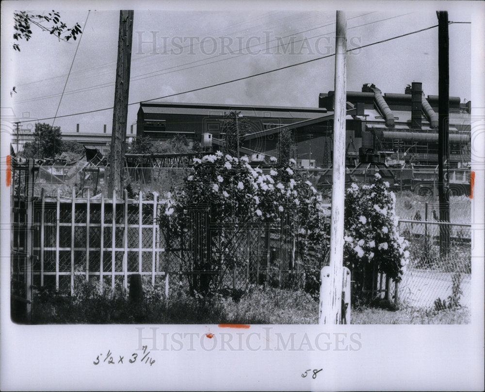 1966 Press Photo Plant Flower Nurseries Michigan - Historic Images