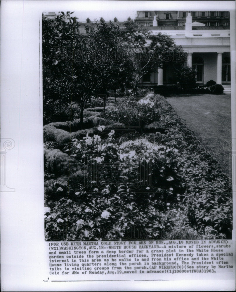 1963 Press Photo White house Backyard shurb tree grass - Historic Images