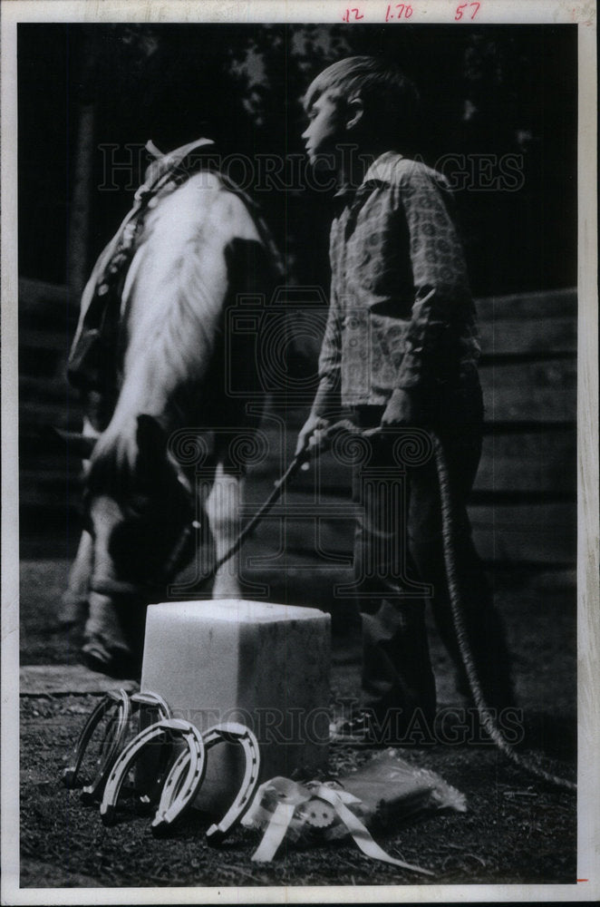 1974 Press Photo Horse G-Boy YMCA Camp Chief Ouray - Historic Images