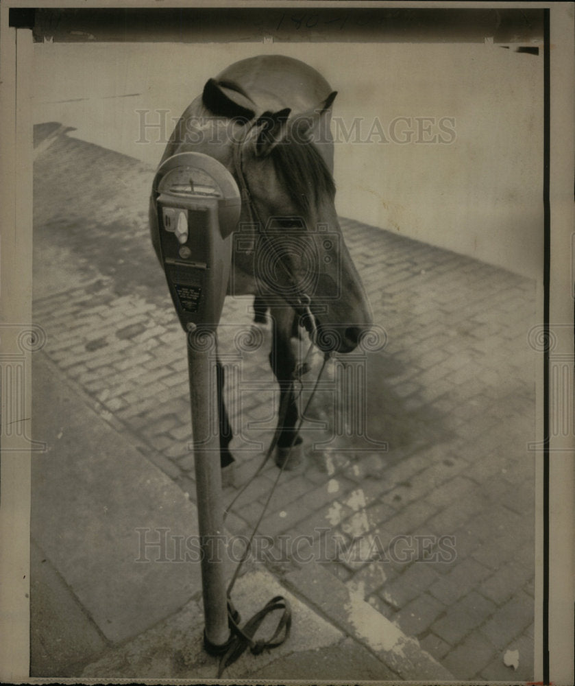 1972 Press Photo David Hundley Parks Horse At Meter - Historic Images