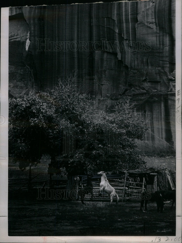 1970 Press Photo Two horses DeChelly Canyon - Historic Images