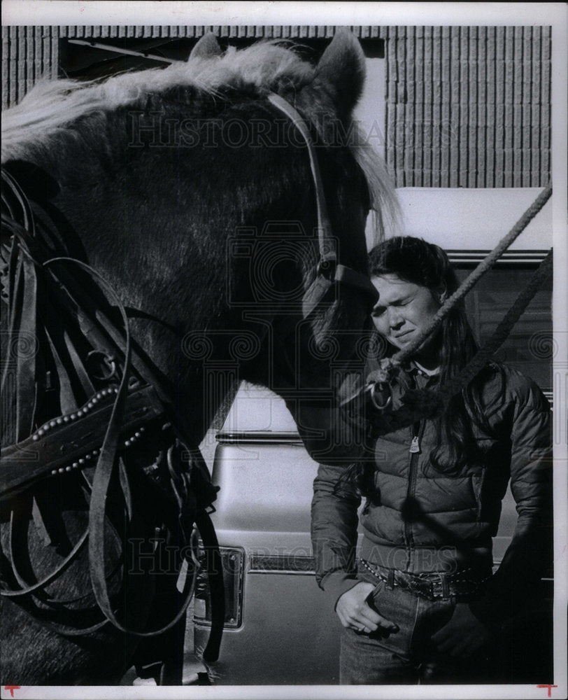 1981 Press Photo Draft Horse - Historic Images